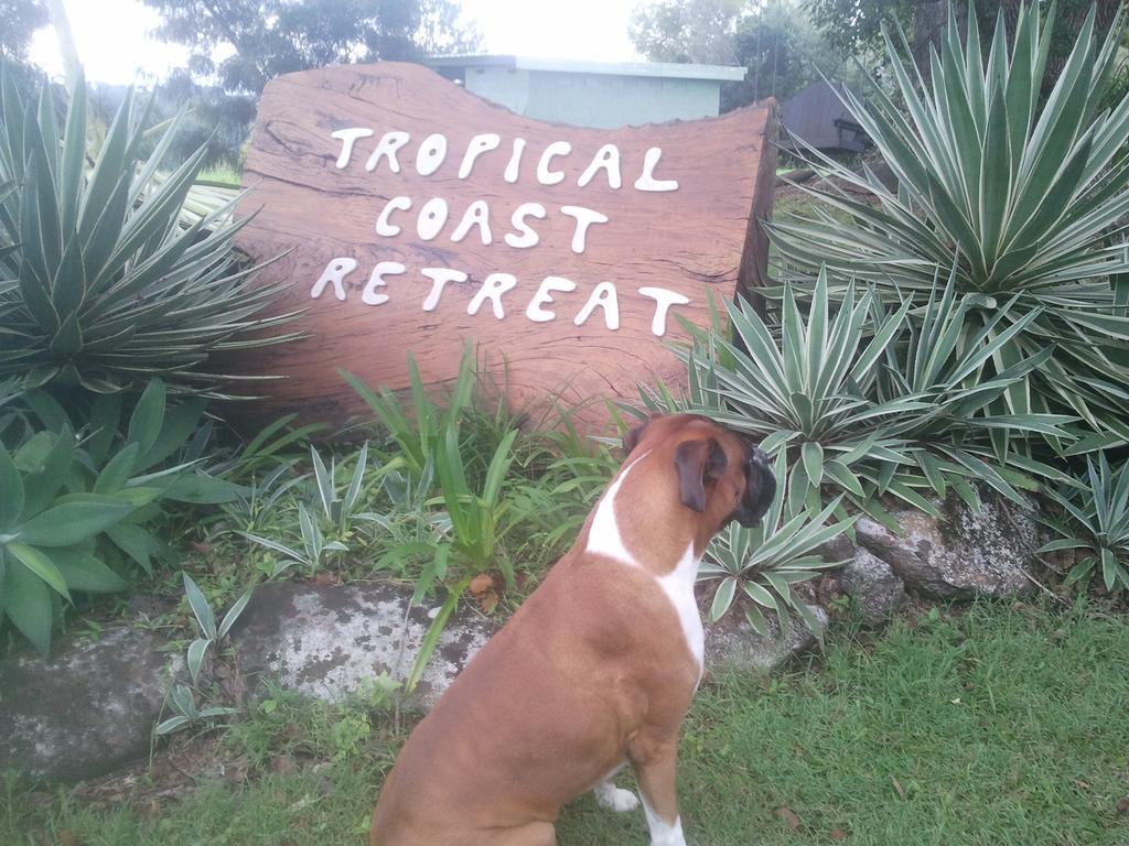 Tropical Coast Retreat - Pet Friendly - Adult Only Casa de hóspedes Kingscliff Exterior foto